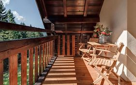 Ski, Hike & Bike Apartman Rokytnice Nad Jizerou