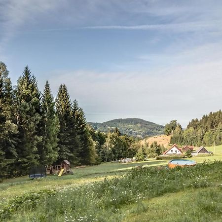 Ski, Hike & Bike Apartman Rokytnice Nad Jizerou Exterior foto